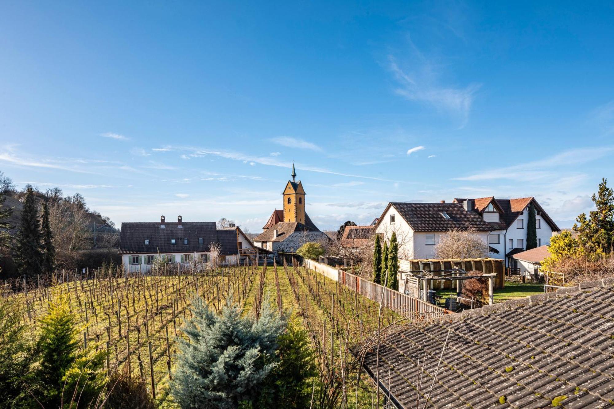 Apartment Gaestehaus - Im Gaertle *